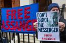 A supporter of WikiLeaks founder Julian Assange demonstrates outside Ecuador's embassy in central London on February 5, 2016