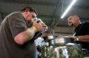 A man smells a jar of marijuana at the medical marijuana farmers market at the California Heritage Market in Los Angeles. (Reuters)
