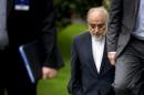 The Head of the Iranian Atomic Energy Organization Ali Akbar Salehi walks through a garden at the Beau Rivage Palace Hotel during an extended round of talks in Lausanne