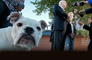 A November 2010 photo of John McCain standing next to his son's dog Apollo. (AP)