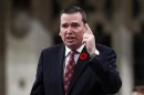 Canada's Industry Minister Paradis speaks during Question Period in the House of Commons on Parliament Hill in Ottawa