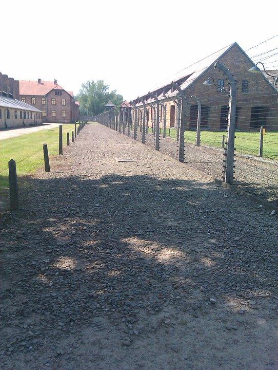 http://l.yimg.com/bt/api/res/1.2/gU_KDmnHSHsWEt.9EsFNGw--/YXBwaWQ9eW5ld3M7Zmk9aW5zZXQ7aD03MjA7cT04NTt3PTU0Mg--/http://l.yimg.com/os/401/2012/01/31/Auschwitz02-boundary-jpg_082214.jpg