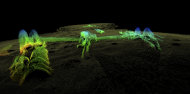 This 2012 high-resolution 3-D sonar image provided by the National Oceanic and Atmospheric Administration shows the remains of the USS Hatteras, the only U.S. Navy ship sunk in combat in the Gulf of Mexico during the Civil War. The view is from the vessel’s port side, toward its stern. The long paddlewheel shaft, bent and angled, rests on the seabed with the fragmented remains of the port side paddlewheel on the right. (AP Photo/NOAA, Northwest Hydro Inc., James Glaeser)