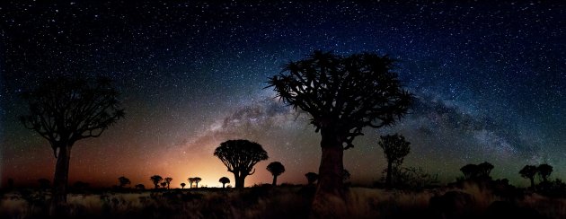 'Quiver Trees by Night' …