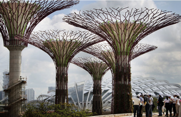 People are dwarfed by the structure of "Supertrees" seen against the financial skyline of Singapore on Wednesday June 29, 2011. These "Supertrees" are vertical gardens, embedded with environmentally s