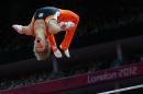 Netherlands's gymnast Epke Zonderland won a stunning gold in the London 2012 Olympics