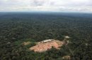 Vista aérea de una parte de la Amazonía el 18 de mayo de 2011
