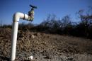 California Expected to Set Mandatory Water Curbs