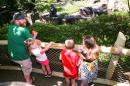 Cincinnati Zoo's Gorilla World Exhibit Reopens in Cincinnati, Ohio