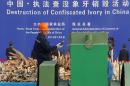 A worker throws a piece of ivory into a machine to be crushed during a public event in Dongguan, south China's Guangdong province on January 6, 2014