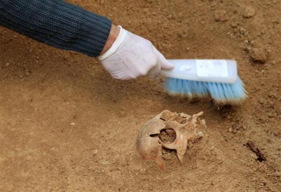Seorang arkeolog bekerja di sisi tengkorak di pekuburan massal di Gerena, Seville, selatan Spanyol, 24 Januari 2012. Kira-kira ada 17 wanita yang dikubur di sini saat Perang Saudara Spanyol pada 1936 