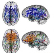 研究：男女腦神經連結大不同 行為有差