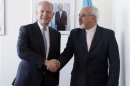 British Foreign Minister William Hague meets with Iran's Foreign Minister Mohammad Javad Zarif at the beginning of their bilateral meeting at the United Nations in New York