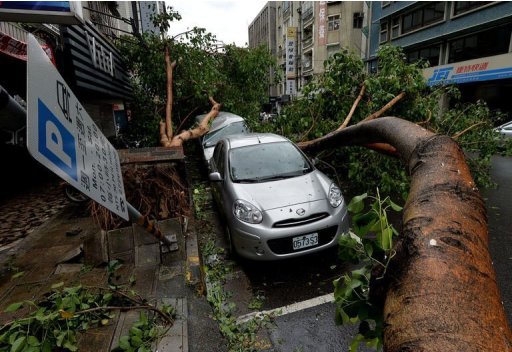 Vehicles damaged by fallen trees after Typhoon Soulik hit Taipei, on July 13, 2013