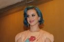 Katy Perry Hampir Saja Bintangi 'The Help'
