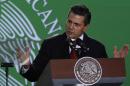 Mexico's President Enrique Pena Nieto speaks during the unveiling of Mexico's strategy to combat diabetes and obesity in Mexico City, Thursday, Oct. 31, 2013. (AP Photo/Marco Ugarte)