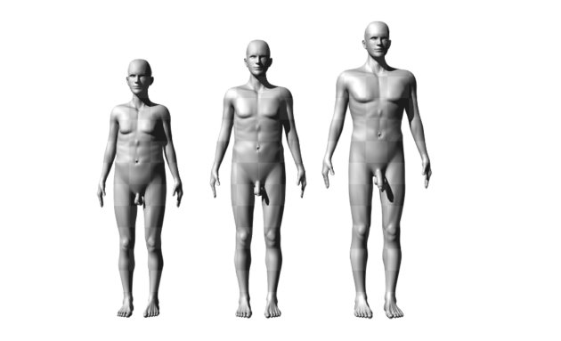 Tres de las figuras usadas. A la izquierda, los valores mínimos de altura, anchura de hombros y longitud de pene considerados en el estudio y a la derecha, los  máximos. En el centro, los valores medios.