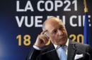 French FM Fabius speaks at a news conference regarding an agreement to limit global warming in air transport during the 51st Paris Air Show at Le Bourget airport near Paris