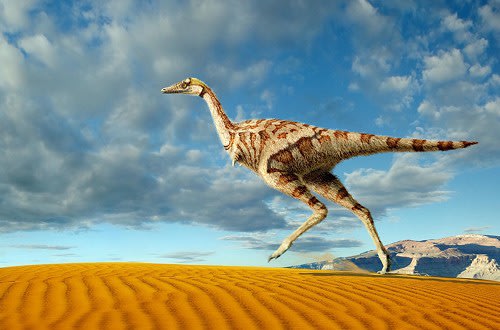A species of dinosaur identified from a fossil found in Sussex is a member of the theropod family like the one pictured, scientists say