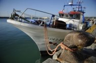Europa reflexiona sobre las alternativas para adaptar su flota de pesca al declive de los recursos marinos, tras la oposición de una quincena de países contra la idea de vender las concesiones de pesca, considerada como una forma de "privatización de los mares".