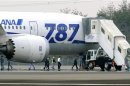 An All Nippon Airways (ANA) Boeing 787 Dreamliner is seen after making an emergency landing at Takamatsu airport