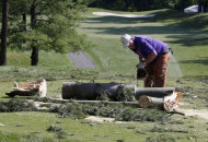 A worker chainsaws a tree that fell onto a tee box on the the 12th hole at Congressional Country Club in Bethesda, Md., Saturday, June 30, 2012, after a strong storm blew through overnight. The AT&T National golf tournament was postponed to allow workers to clear the course. (AP Photo/Patrick Semansky)