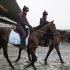 Orb, left, is walked through the paddock runway at Belmont Park for a morning workout, Friday, June 7, 2013 in Elmont, N.Y. Orb is entered in Saturday's Belmont Stakes horse race. Jennifer Patterson is the exercise rider. (AP Photo/Mark Lennihan)