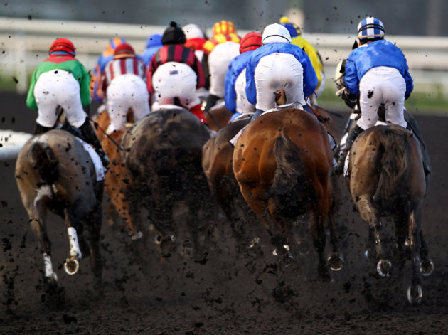 Jockeys compete in the UAE Derby during