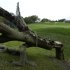 A toppled oak tree lays next to the second green after a severe thunderstorm passed through, causing a suspension of play, during the final round of the Arnold Palmer Invitational golf tournament in Orlando, Fla., Sunday, March 24, 2013.(AP Photo/Phelan M. Ebenhack)