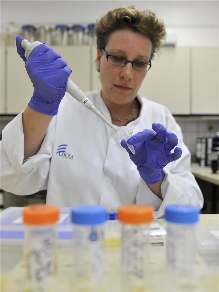 Un asistente de laboratorio examina una colonia de bacterias en un cultivo en el Instituto de Higiene de la Universidad de Muenster, Alemania. EFE