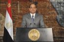 This image released by Egypt's official Middle East News Agency (MENA), shows Egyptian President Abdel-Fattah el-Sissi during a nationally televised broadcast in Cairo, Egypt, Monday, July 7, 2014. El-Sissi has defended his recent decisions to partially lift subsidies on fuel, calling them a necessary 