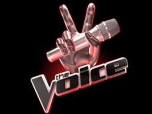 The Voice : TF1 recherche son jury de stars !