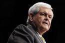 Gingrich speaks at the Conservative Political Action Conference (CPAC) in Washington