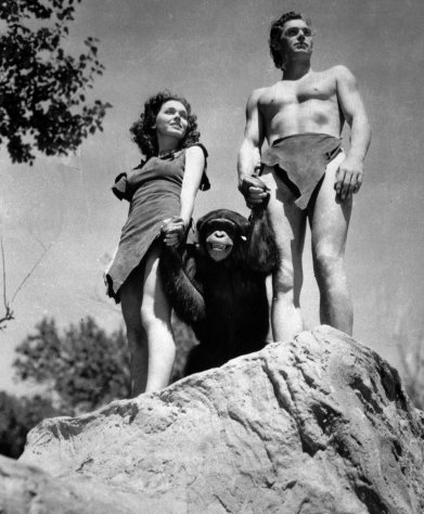 FILE - A file photo shows Johnny Weissmuller, right, as Tarzan, Maureen O'Sullivan as Jane, and Cheetah the chimpanzee, in a scene from the 1932 movie Tarzan the Ape Man. A Florida animal sanctuary says Cheetah the chimpanzee from the Tarzan movies of the 1930s died Cheetah died on Dec. 24 of kidney failure at age 80. (AP Photo/ho, File)