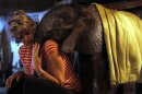 Photos: Orphaned baby elephant raised by human mom