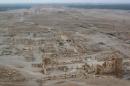 A general view shows the historical city of Palmyra