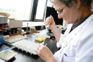 Cientista trabalha em laboratório de um hospital belga
