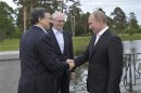 Russian President Putin shakes hands with President of the European Commission Barroso outside St. Petersburg