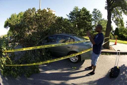A man takes a photo of a fallen tree in the Queens borough of New York