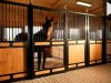 Βίντεο: Άλογο «Χουντίνι» ξεκλειδώνει πόρτες και ελευθερώνει τους «φίλους» του