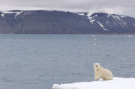 Sloiurile de gheață sunt tot mai rare în Oceanul Arctic