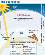 Factfile on the ozone layer. The world can no longer afford to ignore the environmental cost of economic growth and must redefine the very concept of national wealth, a UN panel of heads of state and environment ministers said. (AFP Photo/Amc)