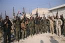 Forces loyal to Syria's President Bashar al-Assad hold up their weapons as they cheer in the town of Safira