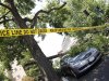 A fallen tree blocks the sidewalk and damages a park vehicle in the Dupont Circle neighborhood of Washington, Saturday, June 30, 2012. Violent evening storms following a day of triple-digit temperatures wiped out power to more than 2 million people across the eastern United States. (AP Photo/Pablo Martinez Monsivais)