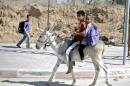 A Palestinian boy rides a donkey with his sister as she is taken to school on October 8, 2013, in Beit Lahia in the northern of Gaza Strip
