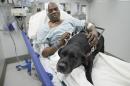 Cecil Williams pets his guide dog Orlando in his hospital bed following a fall onto subway tracks from the platform, Tuesday, Dec. 17, 2013, in New York. The blind 61-year-old Williams says he fainted while holding onto his black labrador who tried to save him from falling. (AP Photo/John Minchillo)