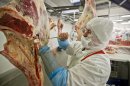 A worker handles meat at the Doly-Com abattoir, one of the two units checked by Romanian authorities in the horse meat scandal, in the village of Roma, northern Romania, Tuesday, Feb. 12, 2013. On Monday, Romanian officials scrambled to defend two plants implicated in the scandal, saying the meat was properly declared and any fraud was committed elsewhere.(AP Photo/Vadim Ghirda)