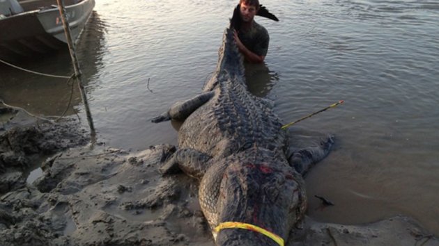 727-Pound Alligator Smashes State Records (ABC News)
