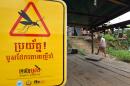 The emergence of malaria strains resistant to artemisinin derivatives, first detected in Cambodia in 2008, has seriously undermined the global fight against the deadly virus