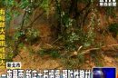 一夜暴雨 新店土石坍塌 預防性撤村